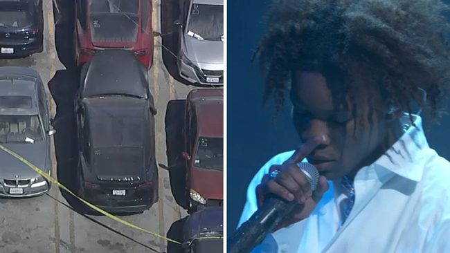 Body of teen found in singer D4vd’s trunk was frozen, decapitated — and cops may never determine cause of death