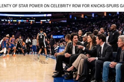 Madison Square Garden court-side seats occupied by Timothée Chalamet, Spike Lee, Ben Stiller, and other celebrities.