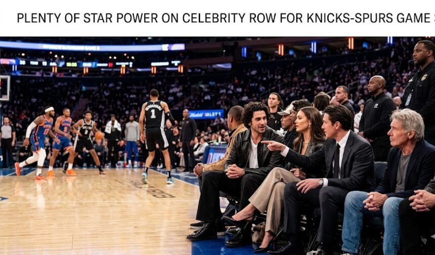 Madison Square Garden court-side seats occupied by Timothée Chalamet, Spike Lee, Ben Stiller, and other celebrities.