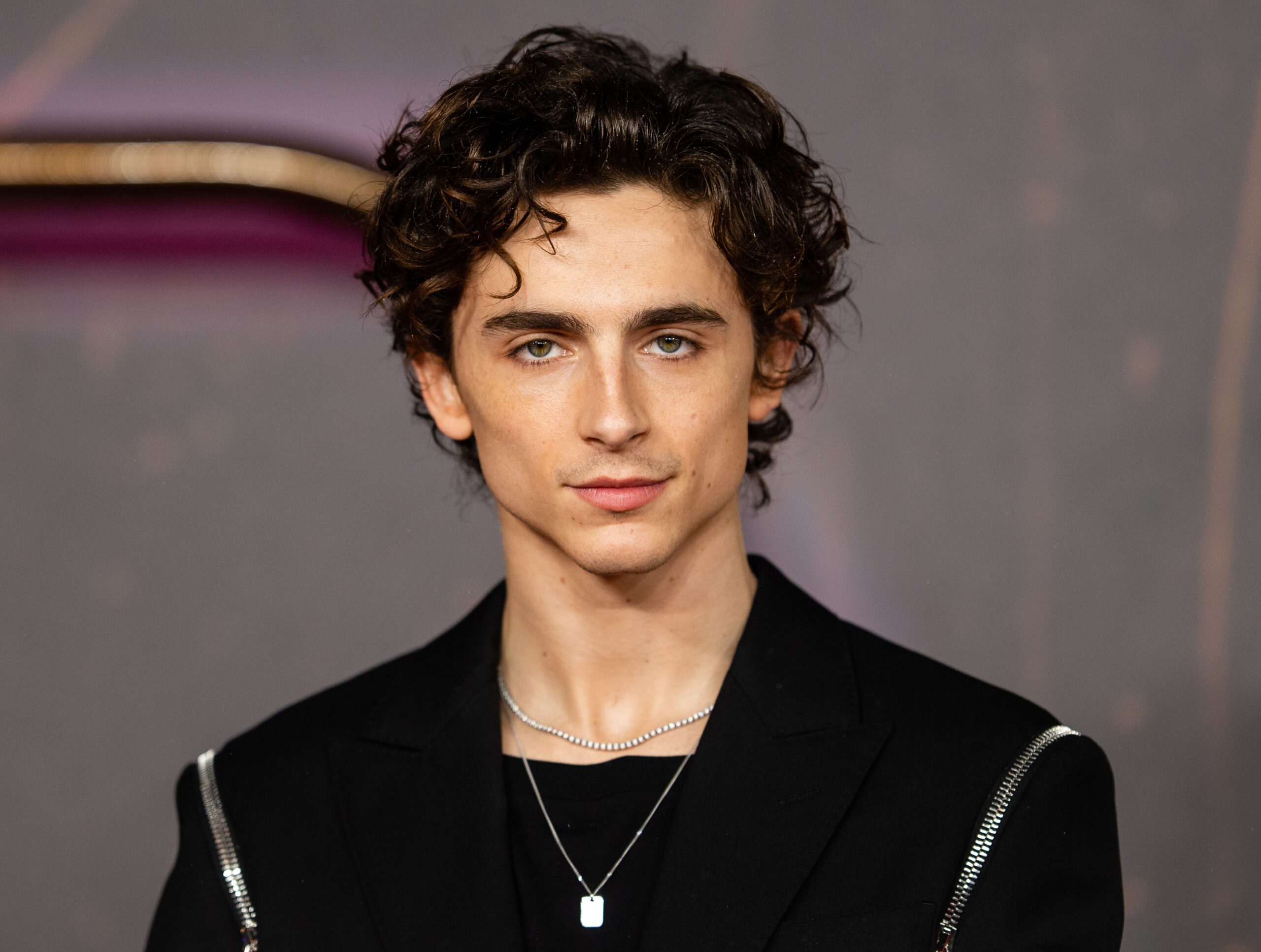 Timothée Chalamet: Age, Biography, Movies, Career & Net Worth | Celebbuddy